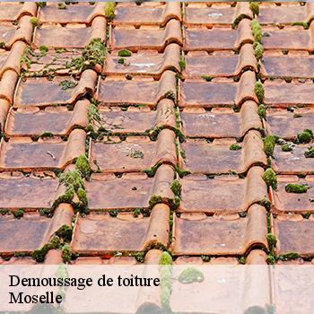 demoussage-de-toiture-jb-couverture-5