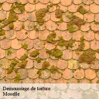 demoussage-de-toiture-jb-couverture-8