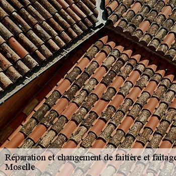 reparation-et-changement-de-faitiere-et-faitage-jb-couverture-2