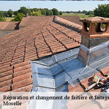 reparation-et-changement-de-faitiere-et-faitage-jb-couverture-5