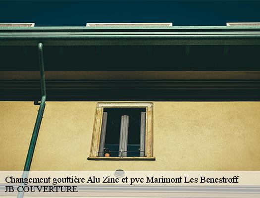 changement-gouttiere-alu-zinc-et-pvc-jb-couverture-10