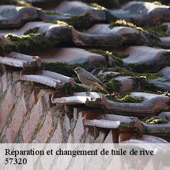 reparation-et-changement-de-tuile-de-rive-jb-couverture-5