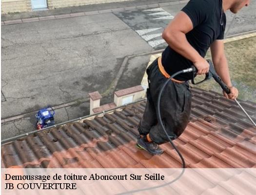 demoussage-de-toiture-jb-couverture-10