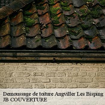 demoussage-de-toiture-jb-couverture-1