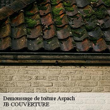 demoussage-de-toiture-jb-couverture-1