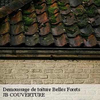 demoussage-de-toiture-jb-couverture-1