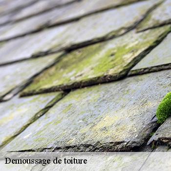 demoussage-de-toiture-jb-couverture-6