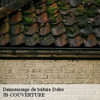 demoussage-de-toiture-jb-couverture-1