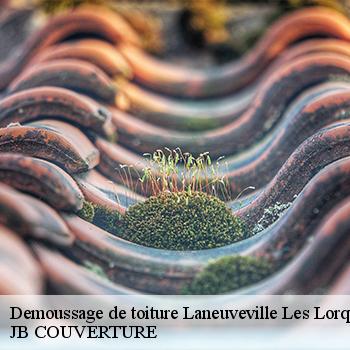demoussage-de-toiture-jb-couverture-7