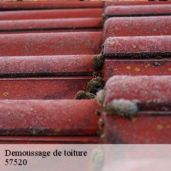 demoussage-de-toiture-jb-couverture-2