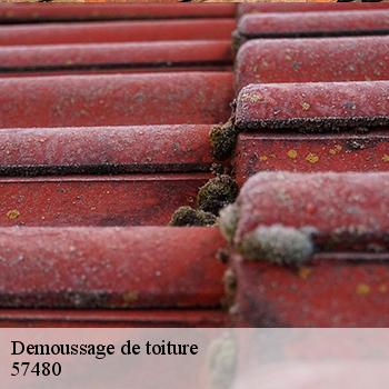 demoussage-de-toiture-jb-couverture-2