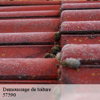demoussage-de-toiture-jb-couverture-2
