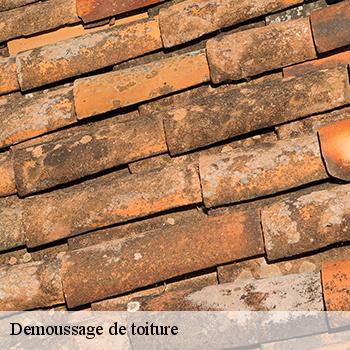 demoussage-de-toiture-jb-couverture-3