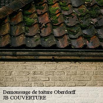 demoussage-de-toiture-jb-couverture-1