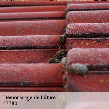 demoussage-de-toiture-jb-couverture-2