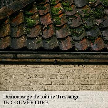 demoussage-de-toiture-jb-couverture-1