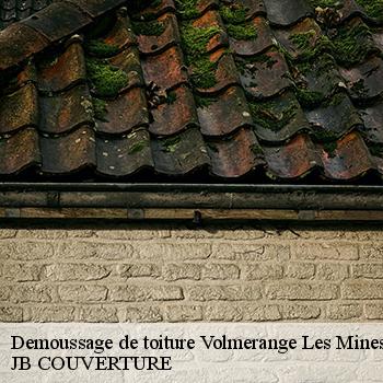 demoussage-de-toiture-jb-couverture-1