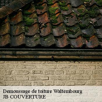demoussage-de-toiture-jb-couverture-1
