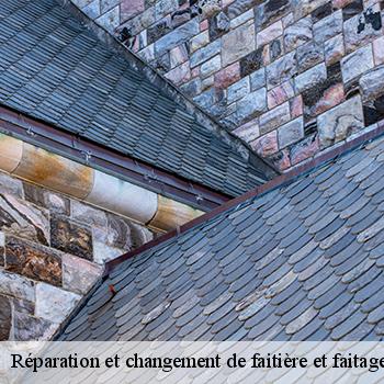 reparation-et-changement-de-faitiere-et-faitage-jb-couverture-6