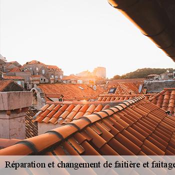 reparation-et-changement-de-faitiere-et-faitage-jb-couverture-3