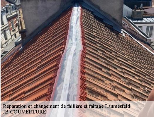 reparation-et-changement-de-faitiere-et-faitage-jb-couverture-10