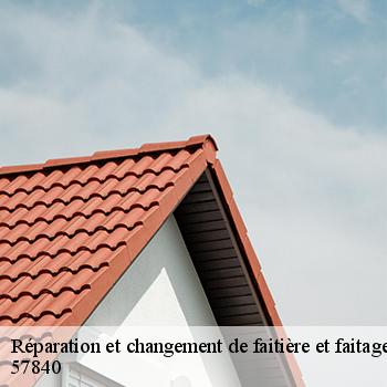 reparation-et-changement-de-faitiere-et-faitage-jb-couverture-8