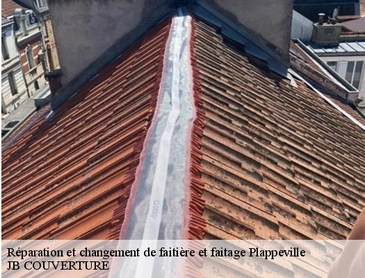 reparation-et-changement-de-faitiere-et-faitage-jb-couverture-10