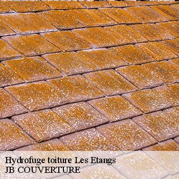 hydrofuge-toiture-jb-couverture-7
