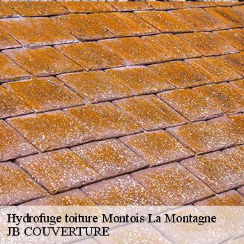 hydrofuge-toiture-jb-couverture-7