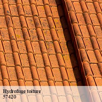 hydrofuge-toiture-jb-couverture-5