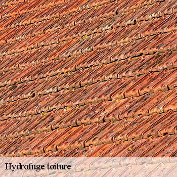 hydrofuge-toiture-jb-couverture-6