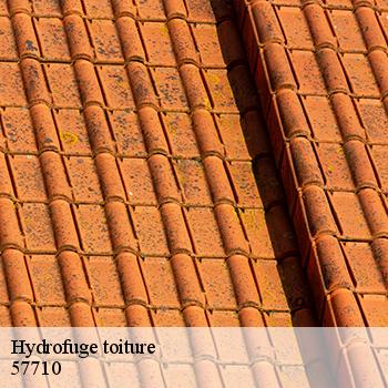 hydrofuge-toiture-jb-couverture-5